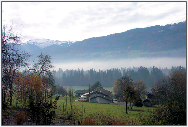 Morning Mist