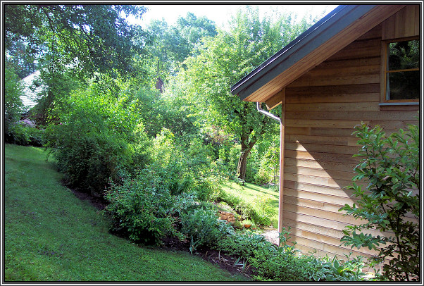 View from the Vegetable Garden